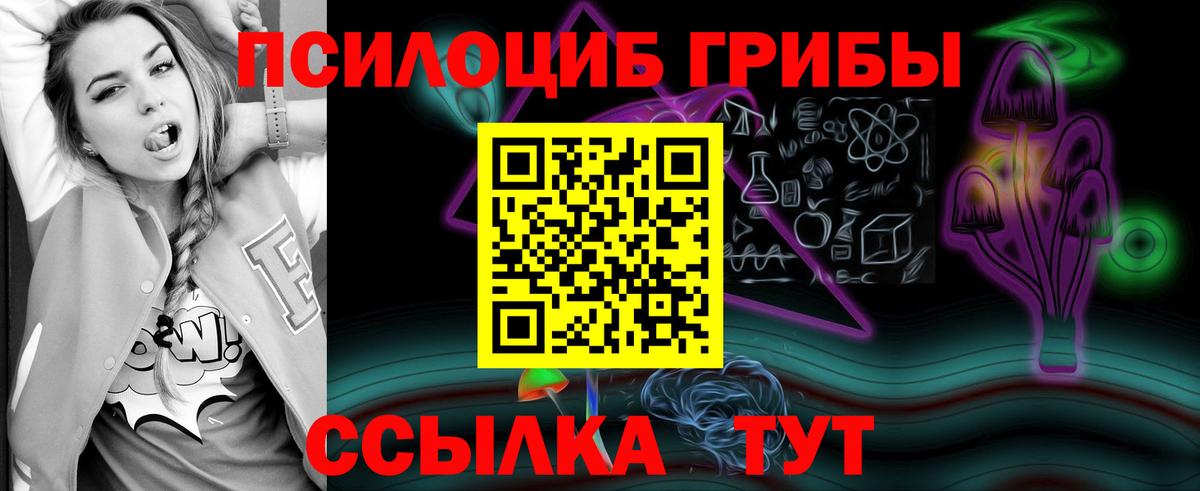 Псилоцибиновые грибы GOLDEN TEACHER Медногорск