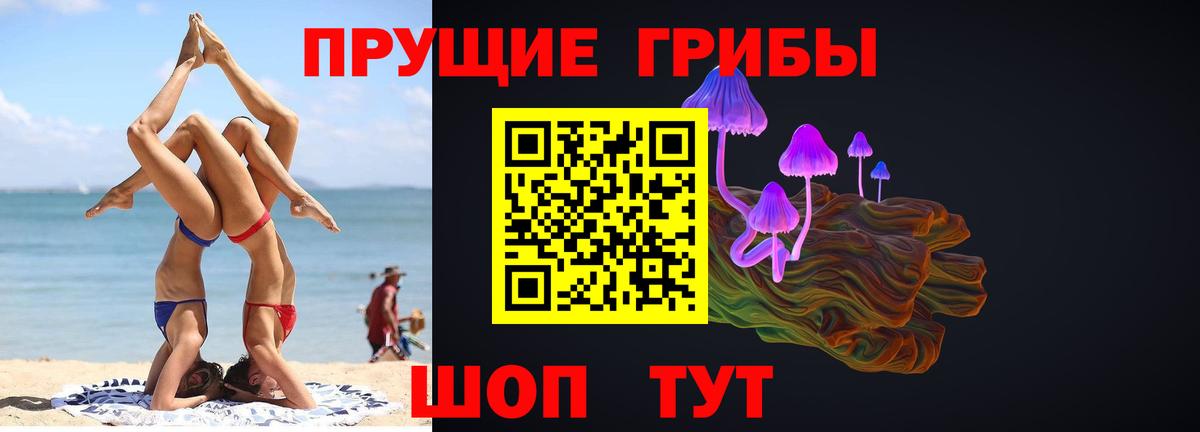 Галлюциногенные грибы Cubensis Медногорск